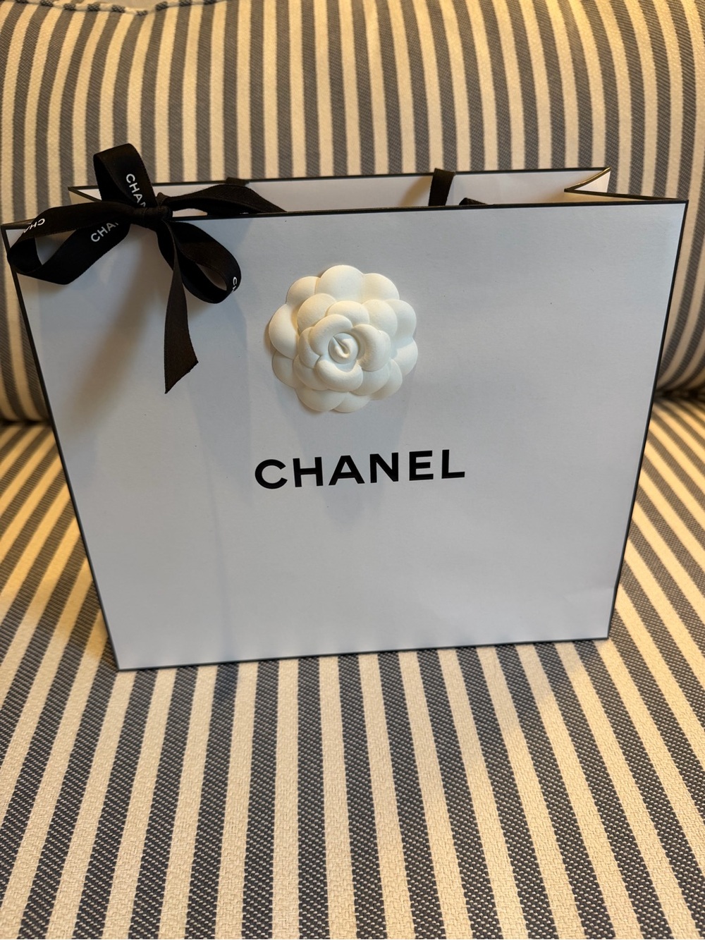 CHANEL White and Black Gift Shopping Bag with White Camellia ❤️
